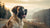 Understanding What Weight is Considered a Big Dog