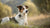 Understanding When Mixed Breed Dogs Stop Growing: A Comprehensive Guide for Pet Owners