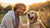 Understanding When Should I Give My Dog Wet Food: A Comprehensive Guide for Pet Parents