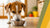 Understanding When to Stop Giving My Dog Puppy Food: The Complete Guide