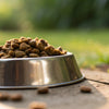 Understanding Which Dog Foods Are Not Grain Free: A Comprehensive Guide