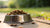 Understanding Which Dog Foods Are Not Grain Free: A Comprehensive Guide