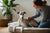 Understanding Whippet Health Problems: A Comprehensive Guide for Owners