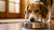 Understanding Why Did My Dog Stop Eating His Dog Food: Common Reasons and Solutions