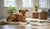 Understanding Why Do Dogs Change Their Behavior: Insights for Pet Owners-141234176239