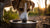 Understanding Why Do Dogs Knock Over Their Water Bowls: Insights and Solutions-140790628591