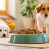 Why Do Dogs Move Food From Bowl? Understanding This Habit