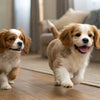 Understanding Why Do Dogs Take Kibble Out of Bowl: Insights for Pet Owners