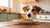 Understanding Why Do Dogs Want to Eat Your Food