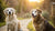Understanding Why Do Elderly Dogs Lose Weight: Causes and Solutions