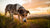 Understanding Why Does My Dog Eat Non-Food Items-140410749167