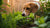 Understanding Why Does My Dog Eat Things That Aren’t Food-140137890031