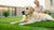 Understanding Why Does My Dog Lose Weight? Causes and Solutions for Unintentional Weight Loss in Dogs