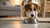 Understanding Why Does My Dog Move Her Food Bowl Around: Unraveling Canine Behavior