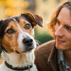 Why Does My Dog Not Eat Her Food? Understanding the Causes