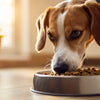 Understanding Why Does My Dog Push Food Out of Bowl: Insights into Canine Behavior