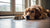 Understanding Why Does My Dog Throw Up Food After Eating