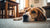 Understanding Why Does My Dog Throw Up Food Hours After Eating-140135989487