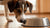 Understanding Why Does My Dog Tip His Water Bowl Over-140791152879