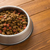 Understanding Why Dog Food is Grain Free: Benefits and Risks Explored