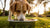 Understanding Why Dogs Dig Their Water Bowl: Insights and Solutions-140789448943