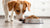 Understanding Why Dogs Eat Cat Food: A Deep Dive into Pet Nutrition