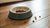Understanding Why Dogs Leave Food in Their Bowl: A Comprehensive Guide