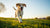 Understanding Why Dogs Need Exercise: A Comprehensive Guide for Pet Owners