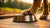 Understanding Why Dogs Paw at Their Water Bowl: A Deep Dive Into This Common Behavior-140797149423