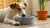 Understanding Why Dogs Put Paws in Water Bowls: Insights for Pet Owners-140792398063
