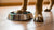 Understanding Why Dogs Put Their Feet in Water Bowls