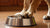 Understanding Why Dogs Put Their Paws in Their Water Bowl: Insights for Pet Owners-140792430831
