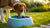 Understanding Why Dogs Scratch Their Water Bowl: Purpose Behind the Behavior-140789547247