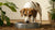 Understanding Why Is My Dog Digging in Her Water Bowl: A Comprehensive Guide