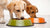 Understanding Why Is My Dog Eating Other Dogs' Food: A Comprehensive Guide for Pet Owners