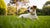 Understanding Why Is My Dog Gaining So Much Weight?