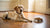 Understanding Why Is My Dog Losing Weight But Eating Normally