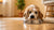 Understanding Why is My Dog Suddenly Afraid of His Food Bowl