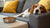 Understanding Why Is My Dog Suddenly Not Eating Her Food-140296978671