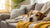 Understanding Why Is My Dog Throwing Up Food Hours After Eating: Causes and Solutions-140406423791