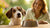 Understanding Why Isn’t My Dog Eating Food: Insights and Solutions