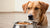Understanding Why Isn’t My Dog Eating His Food? Unpacking the Mystery of Canine Appetite