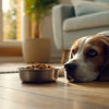 Understanding Why My Dog Is Not Eating Food: Common Causes and Solutions