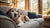 Understanding Why Senior Dogs Lose Weight: Causes and Solutions