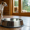 Understanding Why Won't My Dog Eat Food Out of Her Bowl: Causes and Solutions