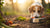 Understanding Why Won’t My Dog Eat Their Dry Food: Causes and Solutions