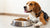 Understanding Why Would My Dog Stop Eating Her Food-140217778415
