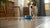 Understanding Why Your Dog Leaves Kibble Around the House