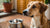 Understanding Why Your Dog Might Be Refusing Food: What Is the Reason of Dog Not Eating Food?-140303302895