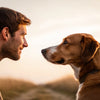 Understanding Your Dog's Behavioral Changes: What Does It Mean When Your Dog Changes Behavior?